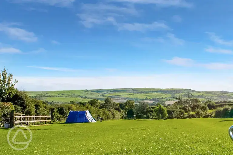 Grass pitches with a view