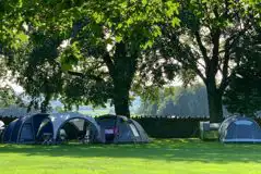 Non electric grass pitches with shaded areas