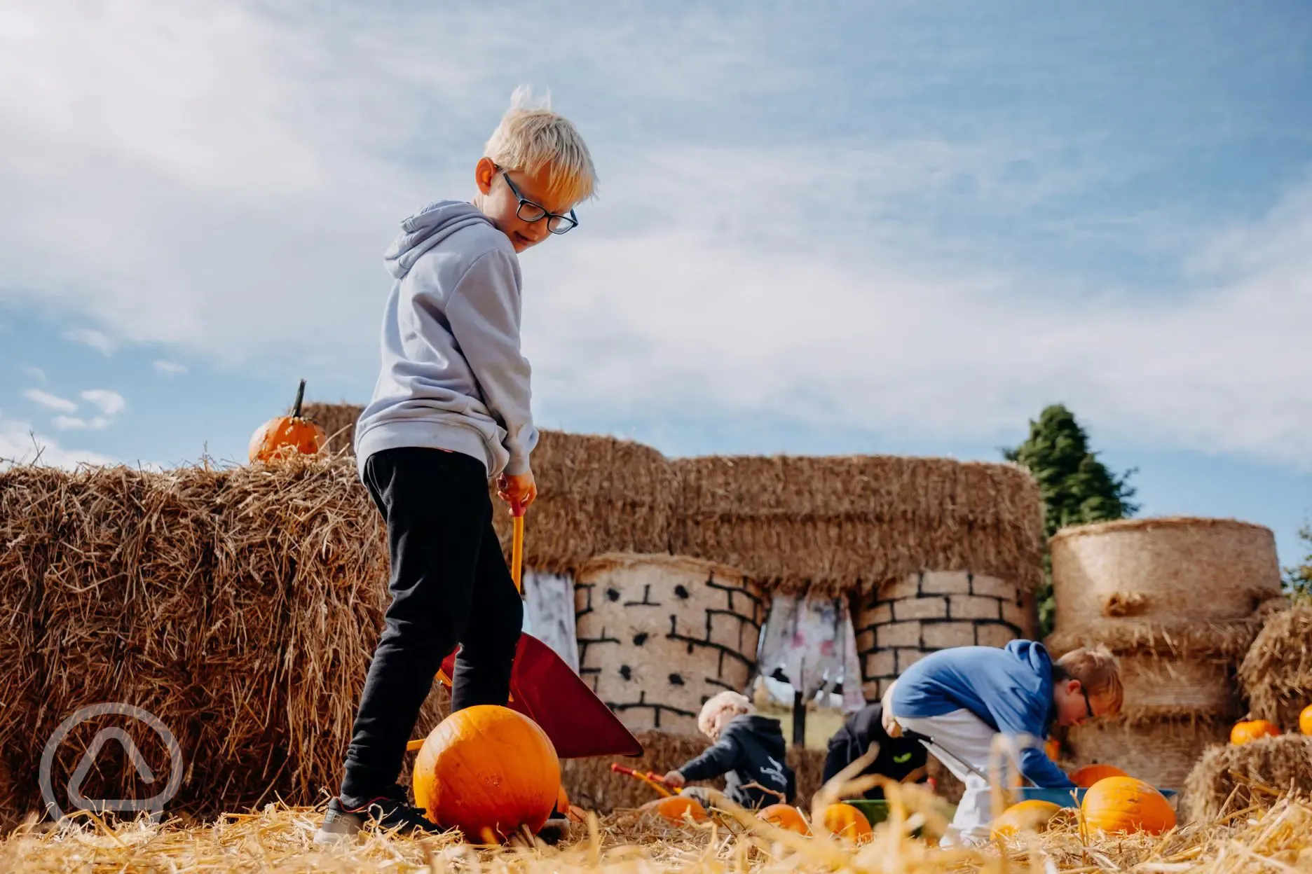 Seasonal pumpkin picking festival