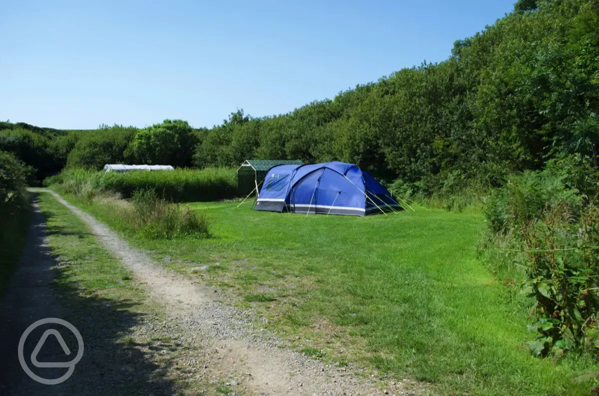 Camping pitches