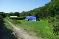 Camping pitches