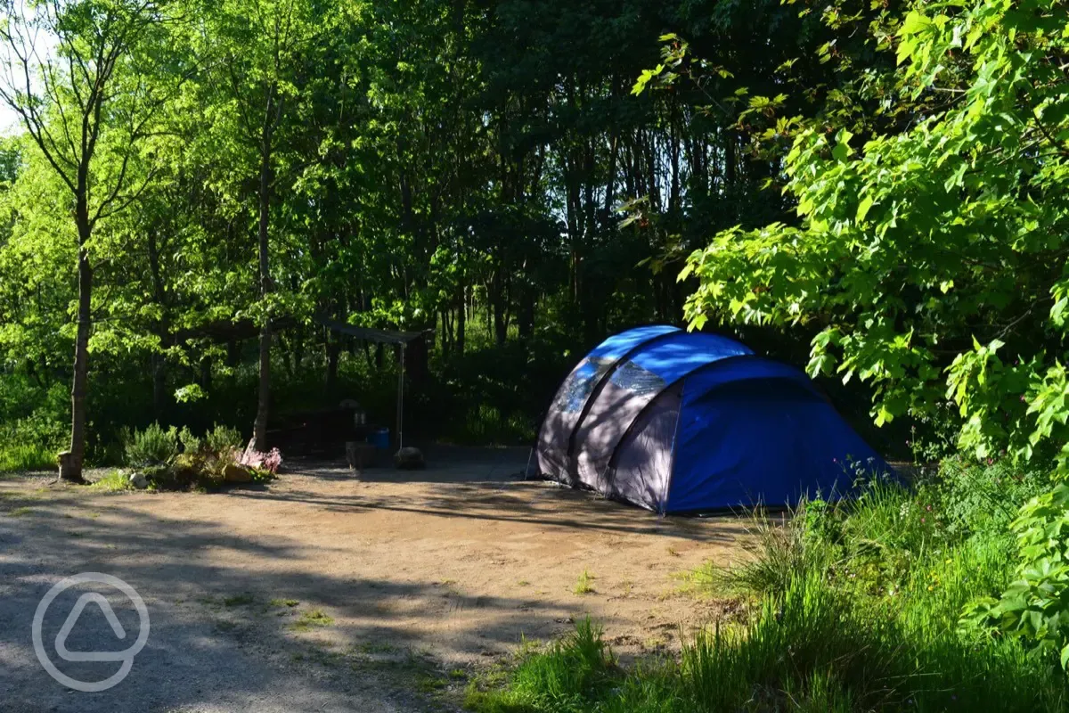 Camping pitches