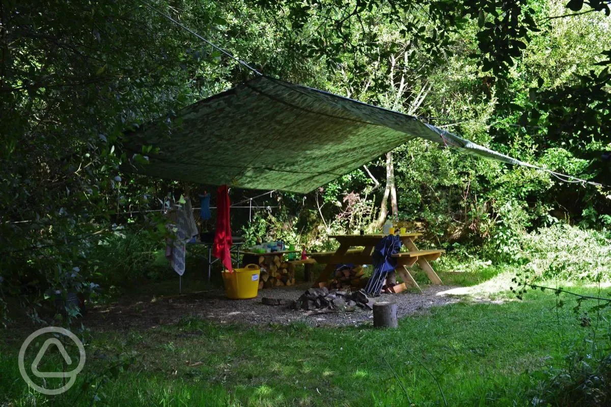 Camp kitchen 
