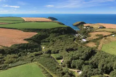 Trellyn Woodland Camping