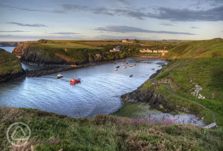 Abercastle at golden hour