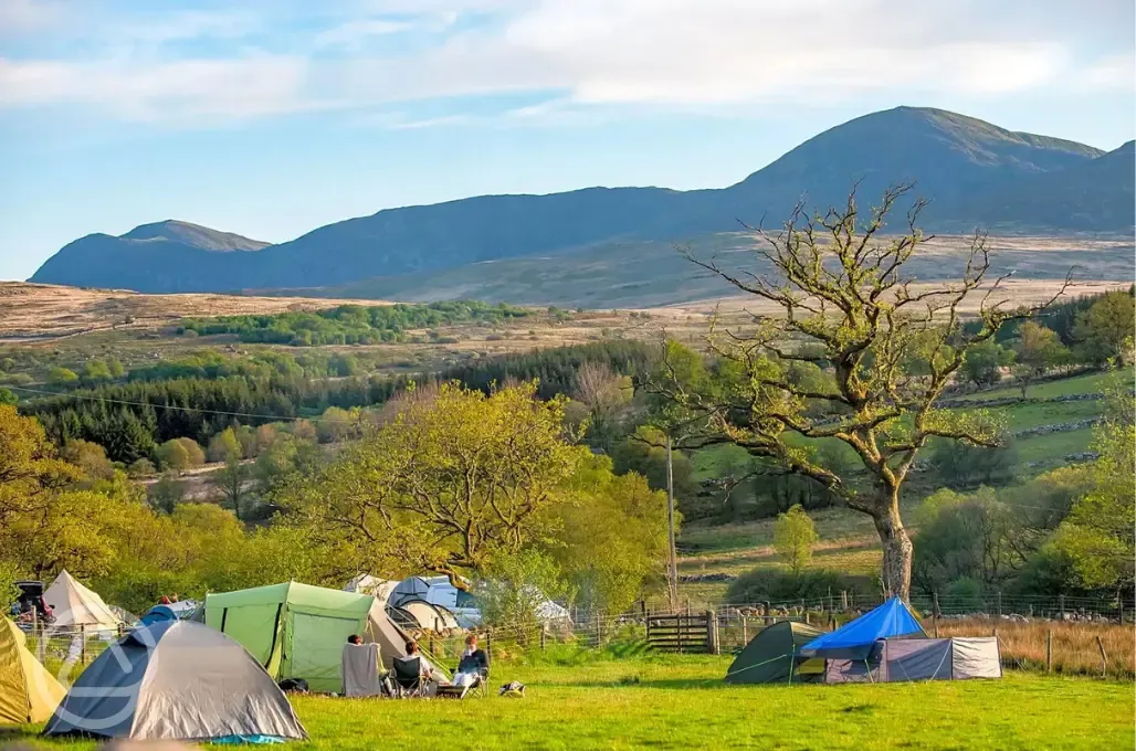 Non electric grass pitches