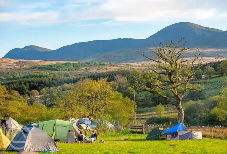 Non electric grass pitches