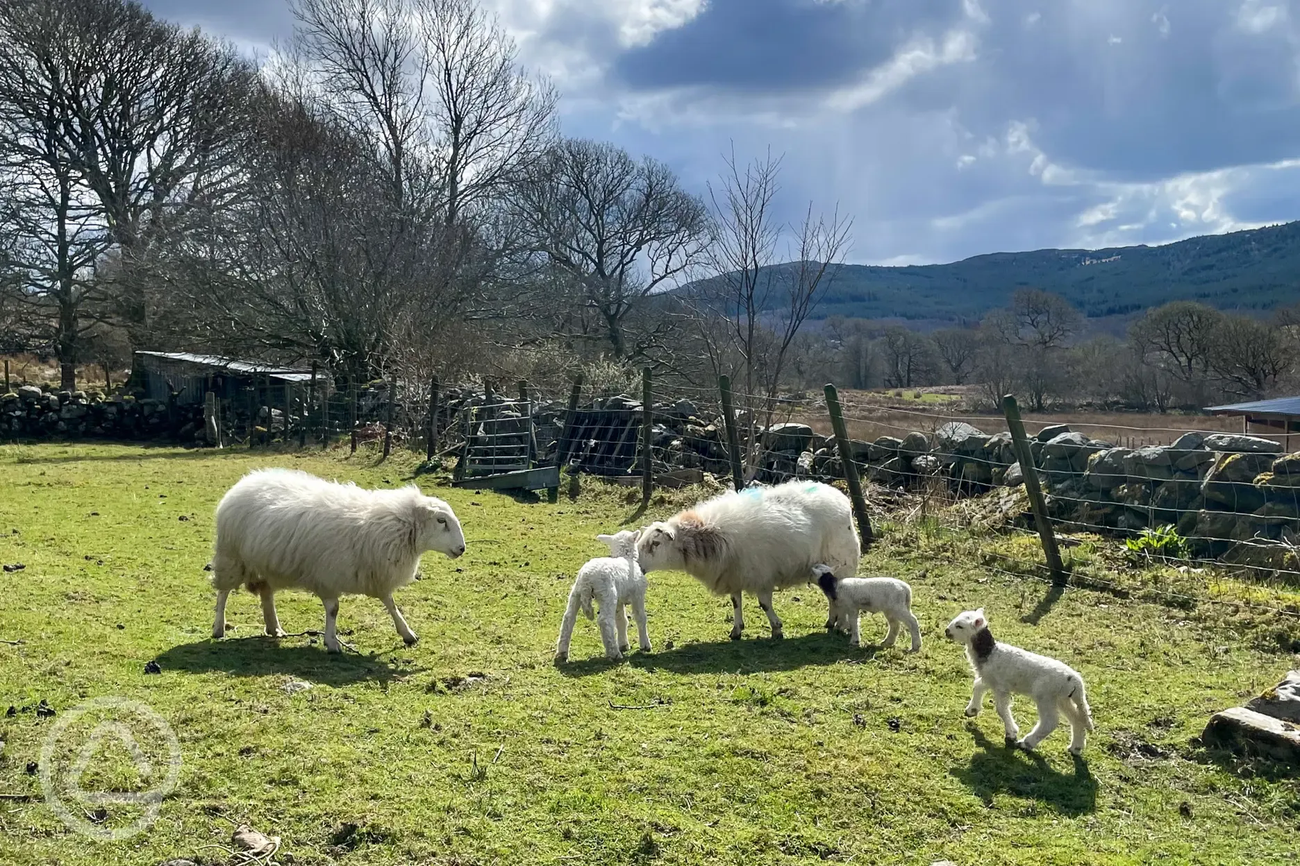 Set on a working sheep farm