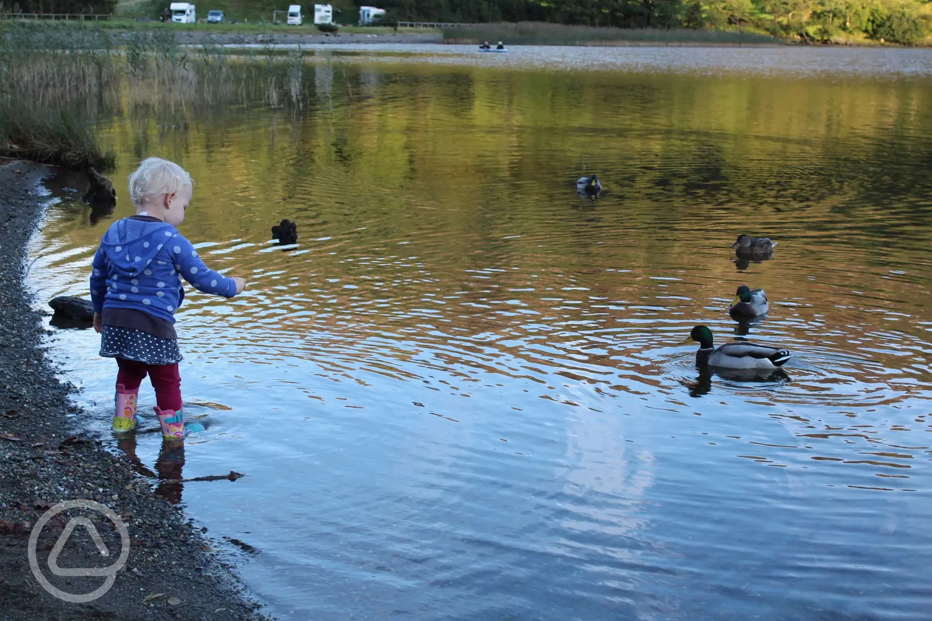 Nature is all around at Llyn Gwynant Campsite.