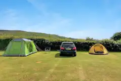 Grass tent pitches with optional electric and space to park alongside Grass tent pitches with optional electric and space to park alongside