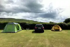 Grass tent pitches with optional electric and space to park alongside Grass tent pitches with optional electric and space to park alongside