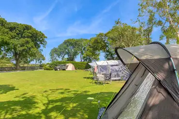Grass tent pitches with optional electric at Llys Derwen Caravan and Campsite