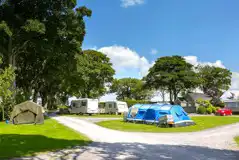 Grass tent pitches with optional electric at Llys Derwen Caravan and Campsite Grass tent pitches with optional electric at Llys Derwen Caravan and Campsite