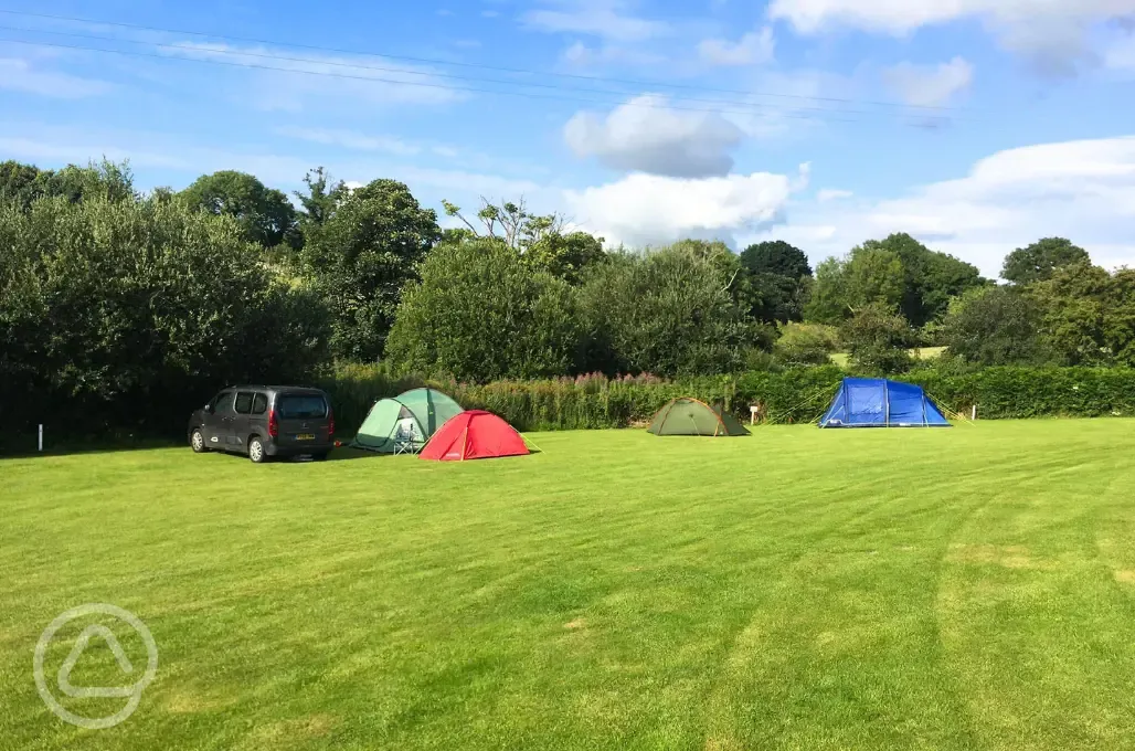 Non electric grass pitches, some ground is slightly sloping