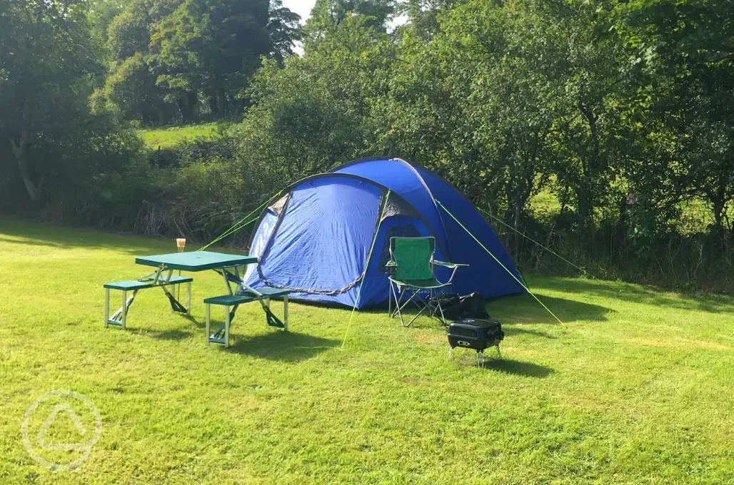 Non electric grass pitch surrounded by trees at Twll Y Clawdd