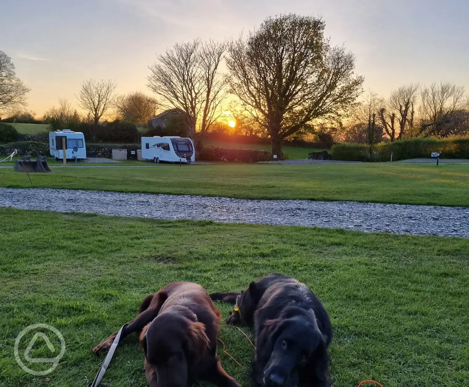 Dog friendly with a dedicated dog walking field