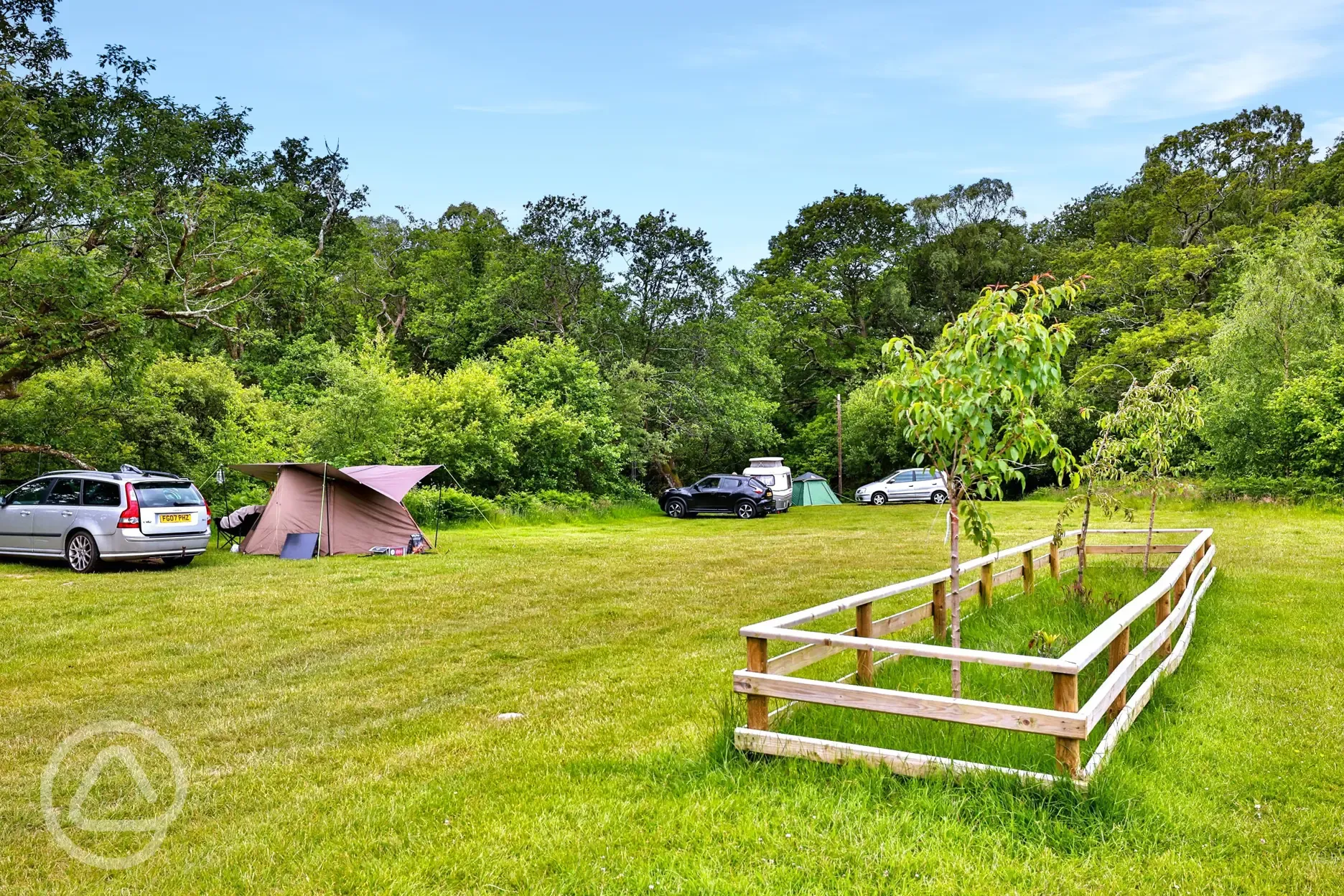 Grass camping pitches surrounded by trees Grass camping pitches surrounded by trees