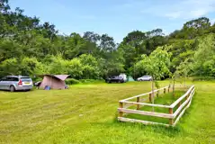 Grass camping pitches surrounded by trees Grass camping pitches surrounded by trees