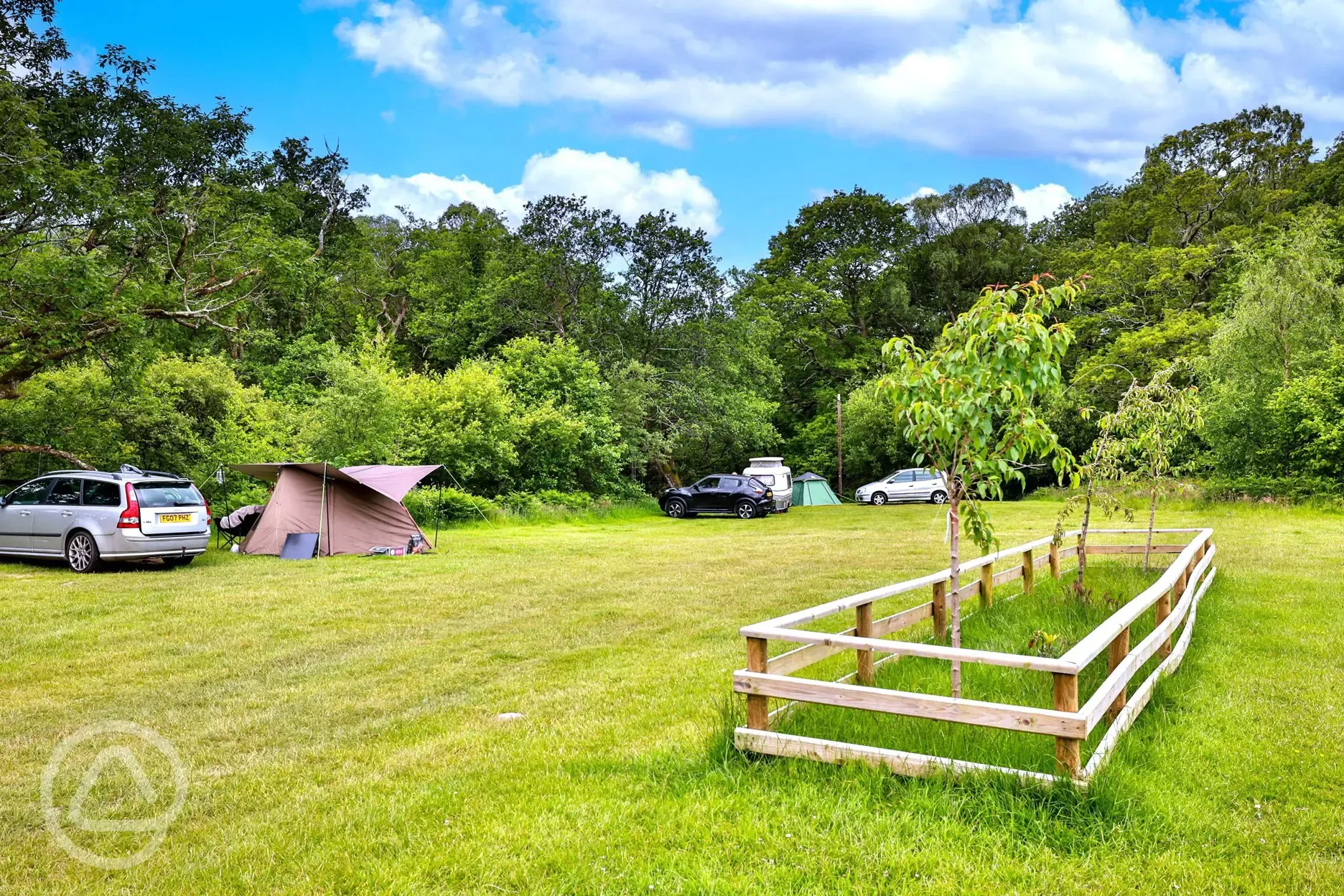 Grass camping pitches