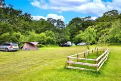 Grass camping pitches