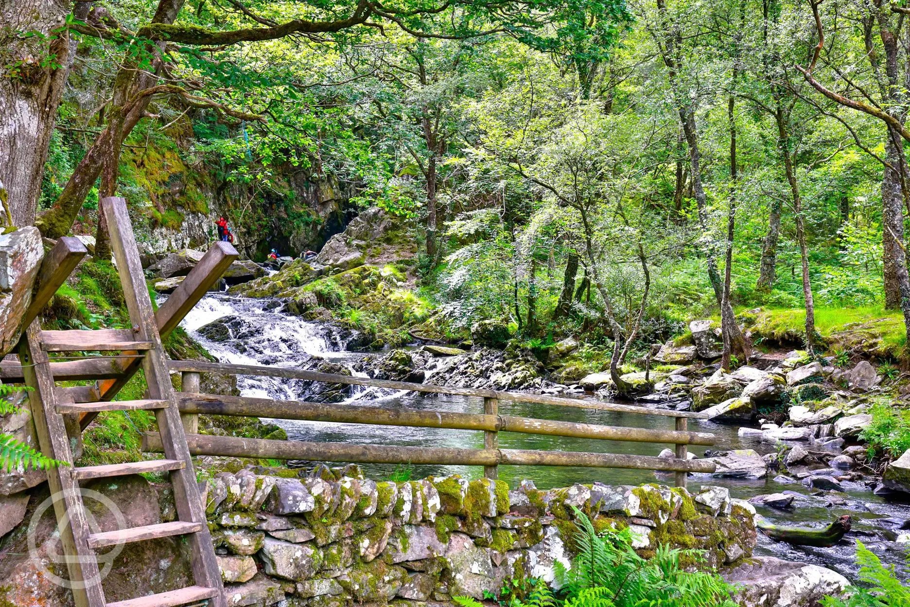 Onsite Nantcol Waterfalls