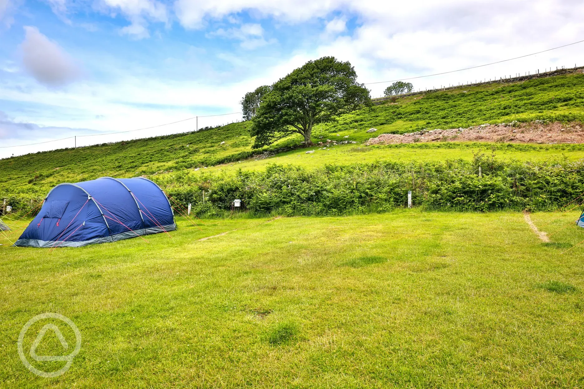 Grass camping pitches - optional electric