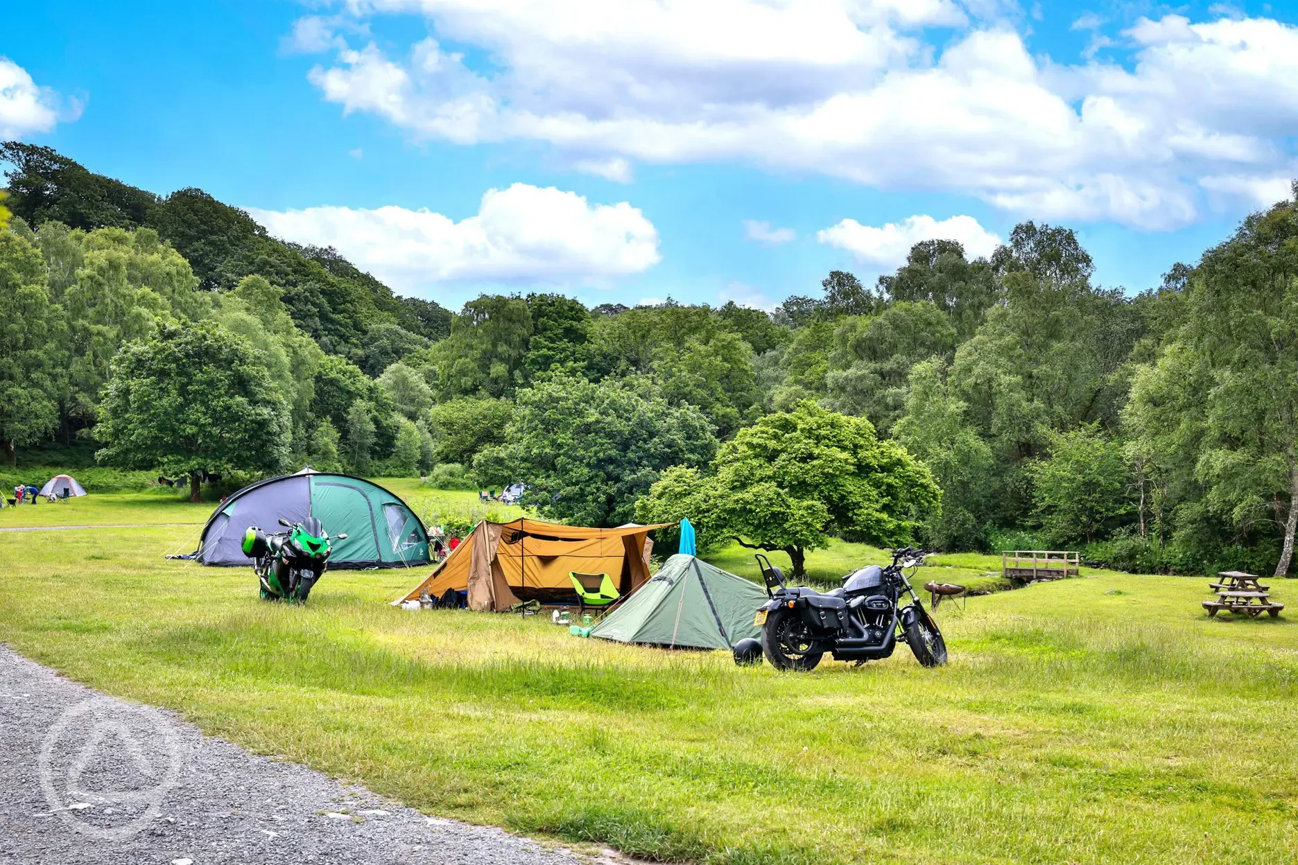 Grass camping pitches