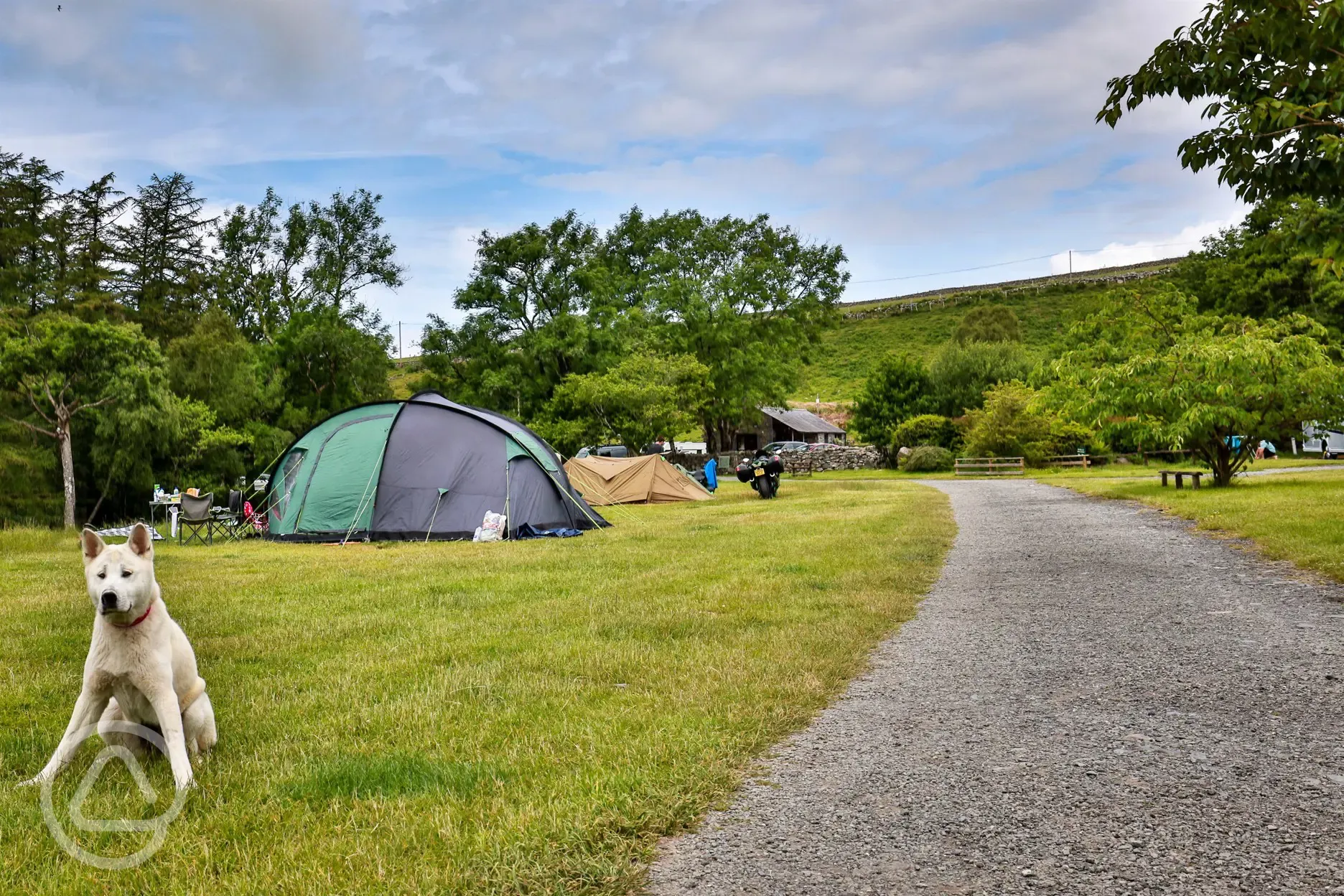 Grass camping pitches - dog friendly