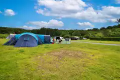 Grass camping pitches