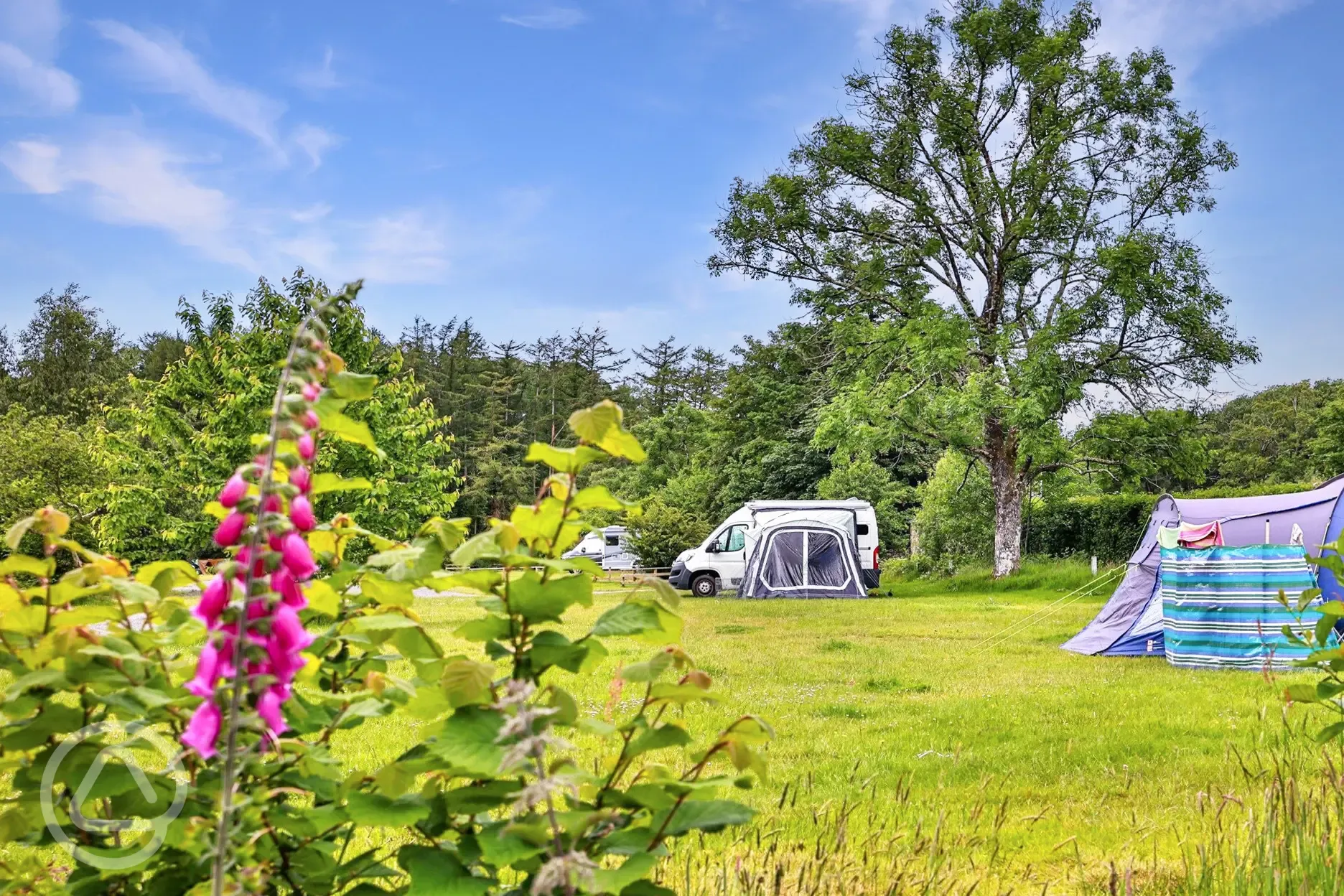 Grass touring pitches