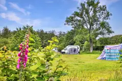 Grass touring pitches with optional 16 amp electric Grass touring pitches with optional 16 amp electric