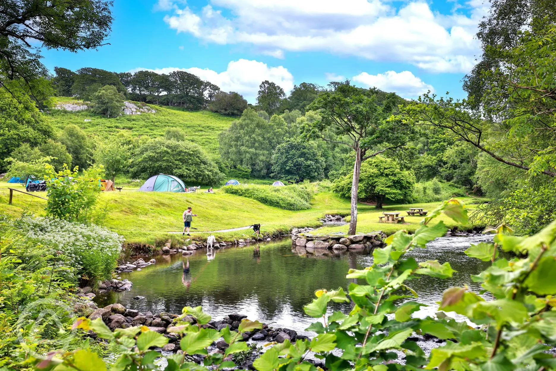 Grass camping pitches by the river