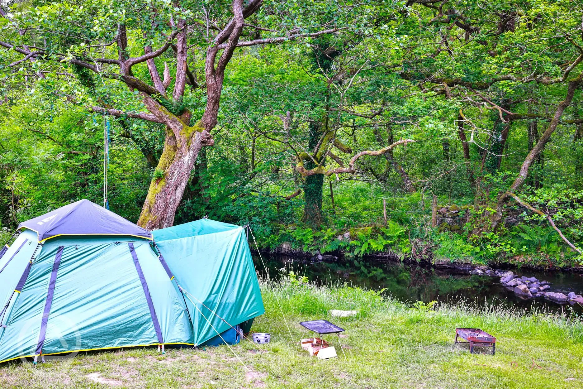 Grass camping pitches by the river