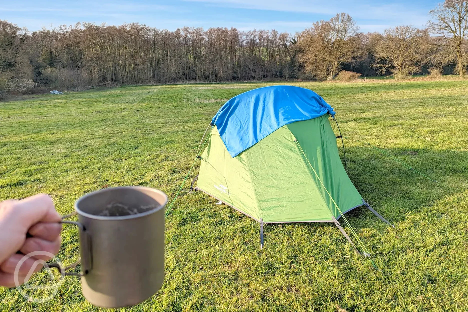 Optional electric grass pitches