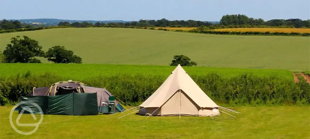 Grass pitches