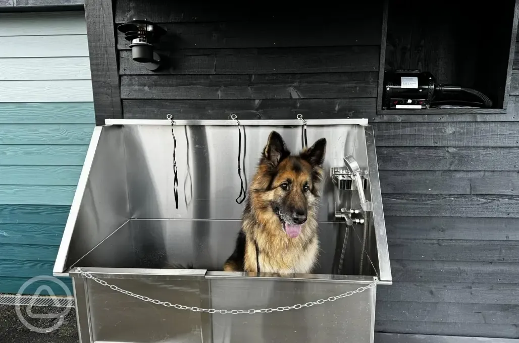 Dog wash