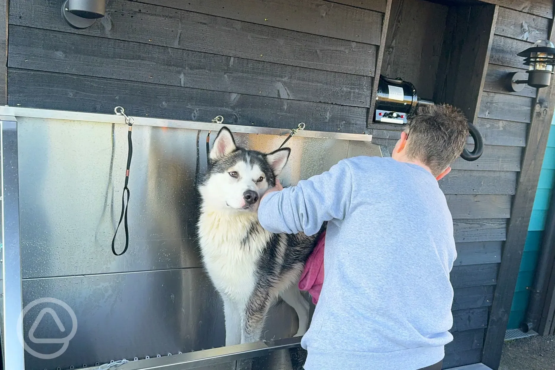 Dog wash