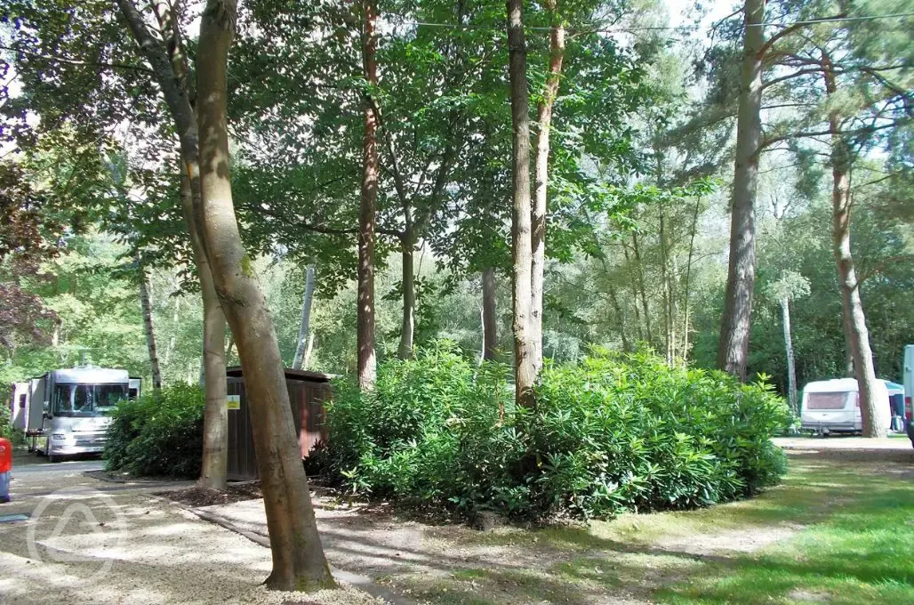 Site overview