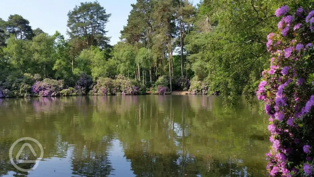 Fishing lake nearby