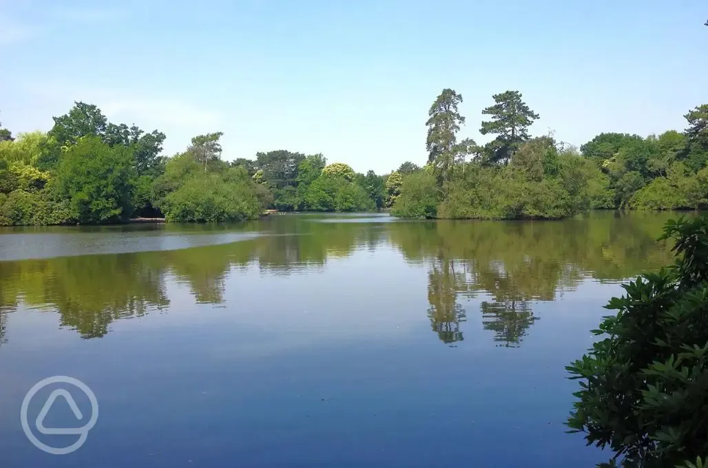 Fishing lake nearby