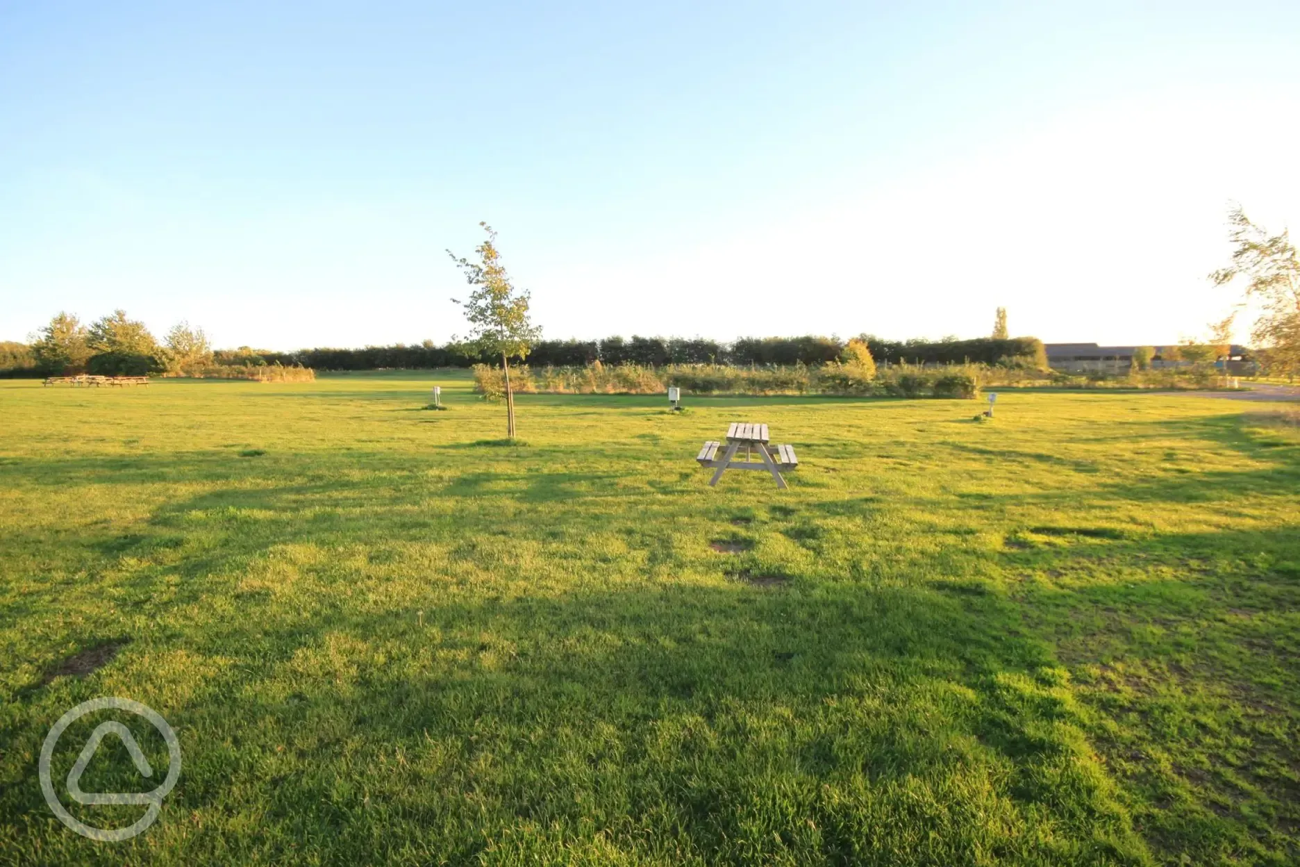 Electric grass pitches 