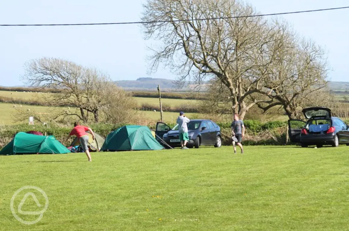 Grass pitches with a group of small tents and space for games