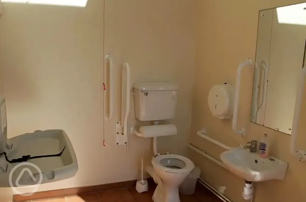 Accessible bathroom with toilet, sink, shower with a seat and baby changing