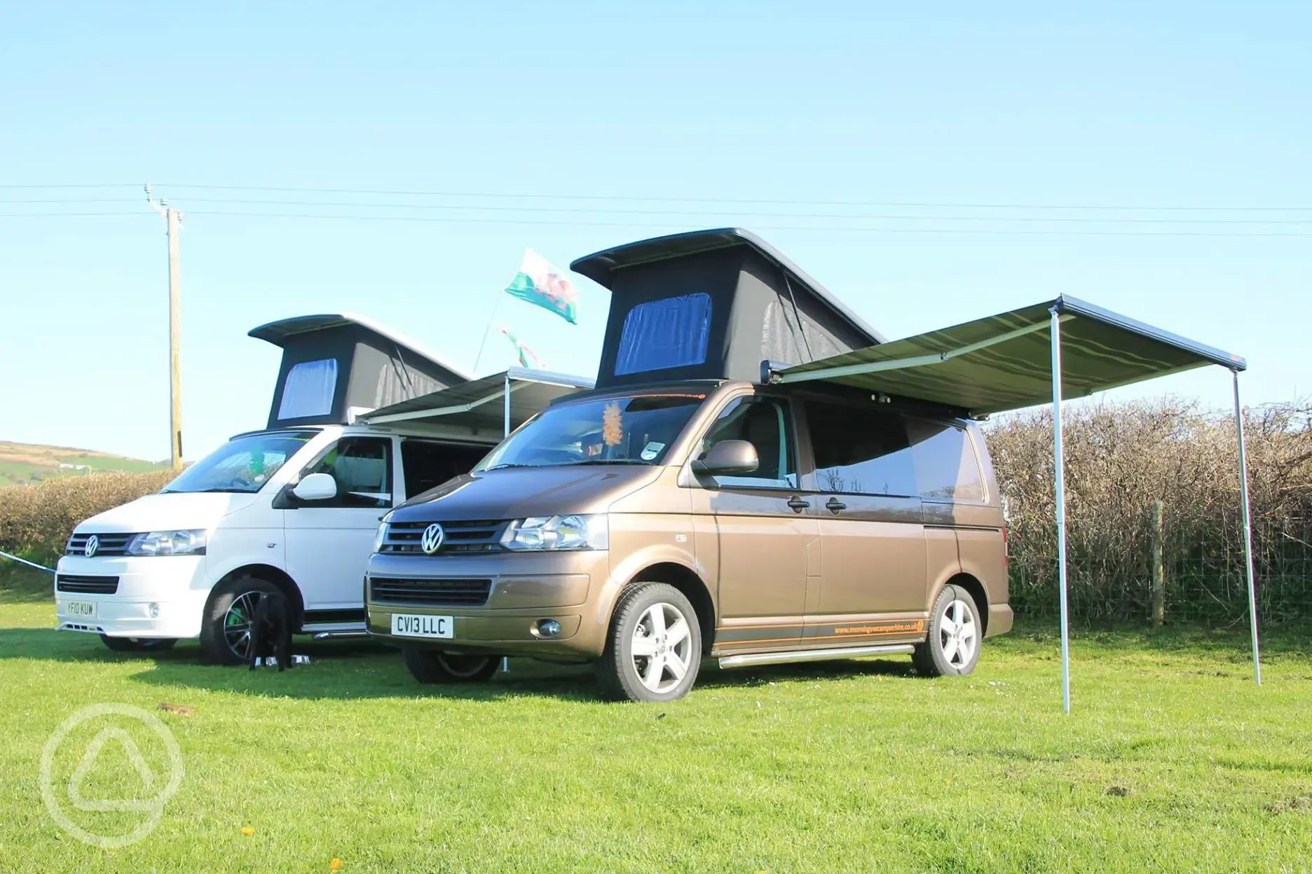 Grass pitches with campervans and awnings welcome
