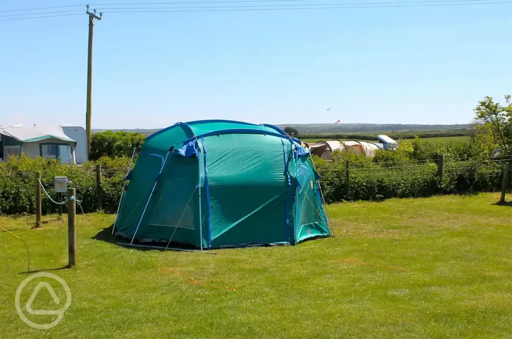 Electric grass pitches with 16 amp hook ups