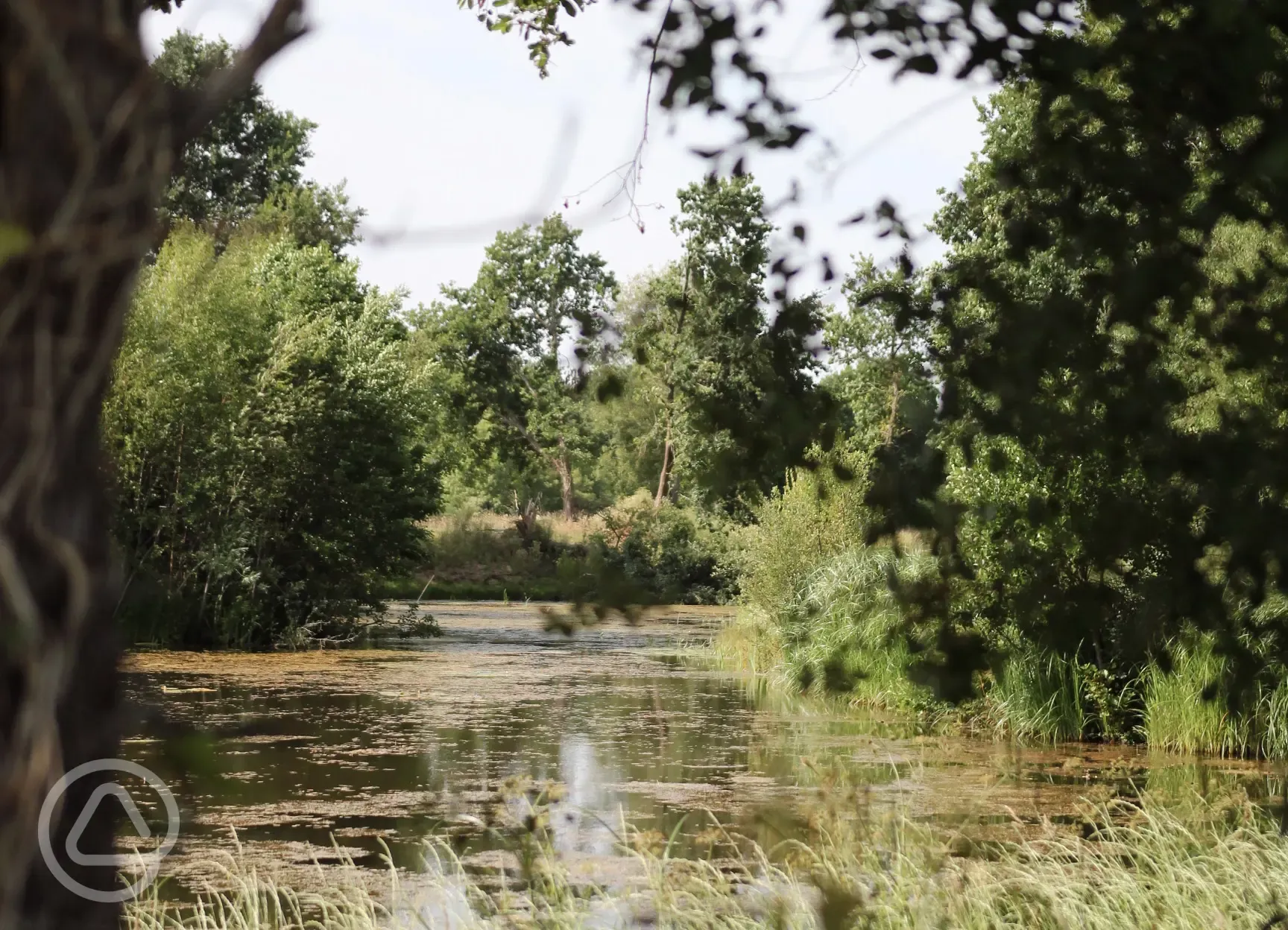 Meadow View's fishing lake