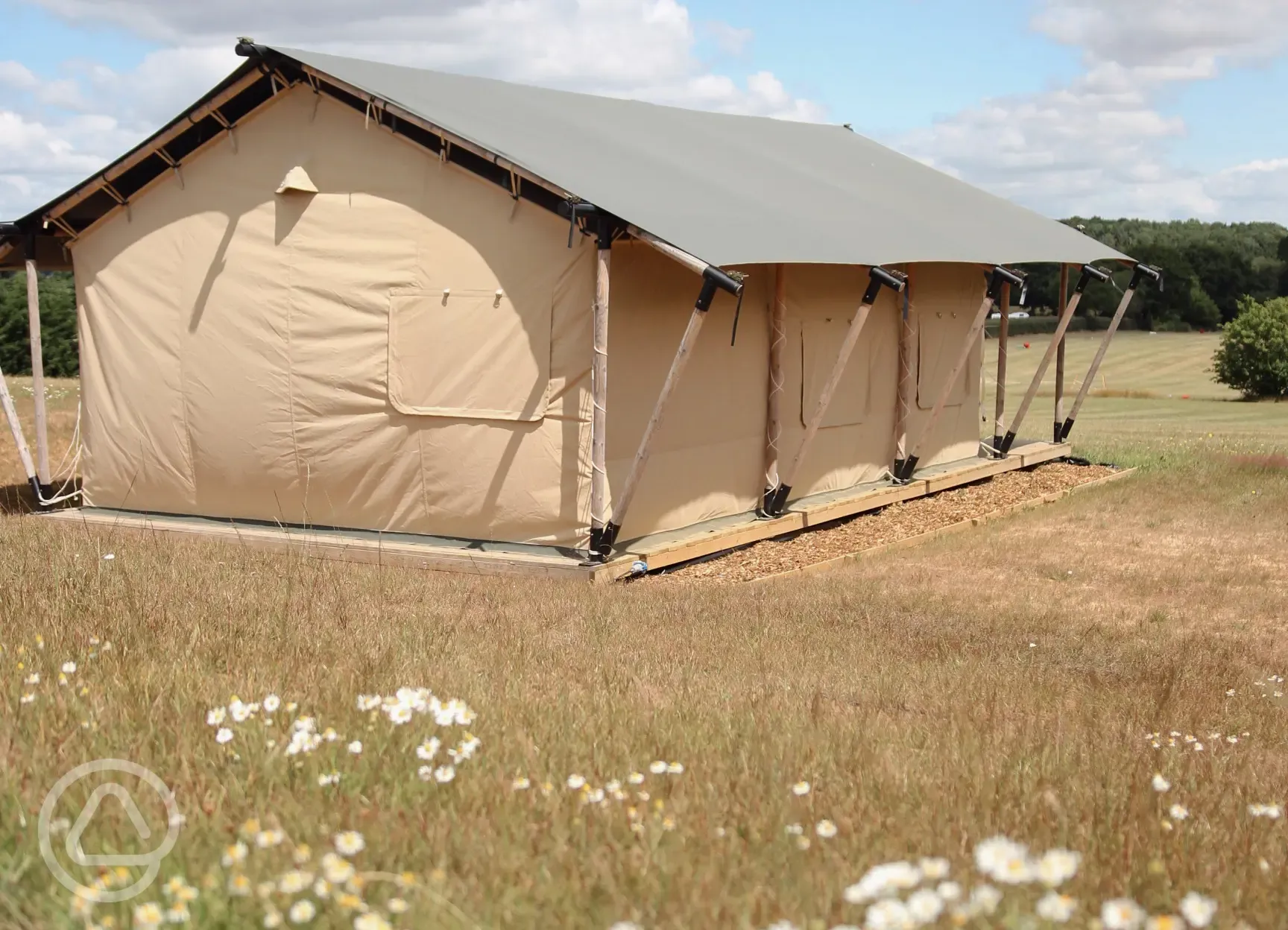 Safari tents