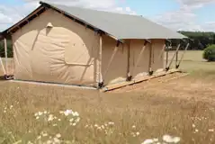 Safari tents