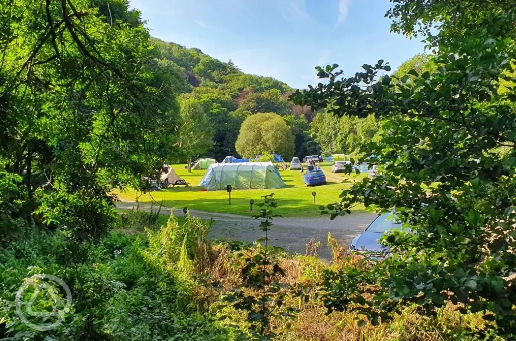 Electric grass tent pitches