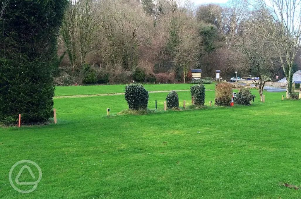Electric grass tent pitches